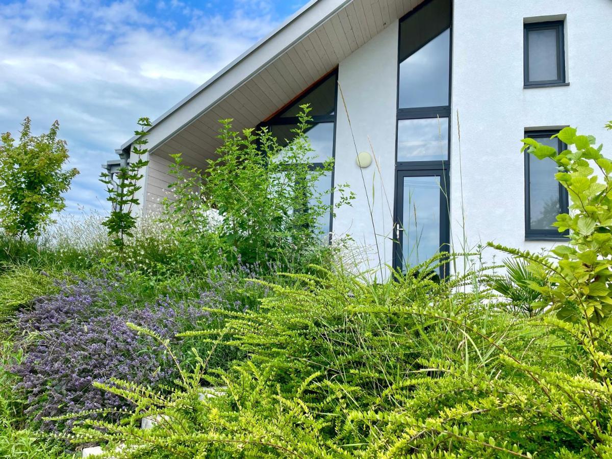 Wine & Space Lodge At Lake Balaton บาลาตอนแลลเล ภายนอก รูปภาพ