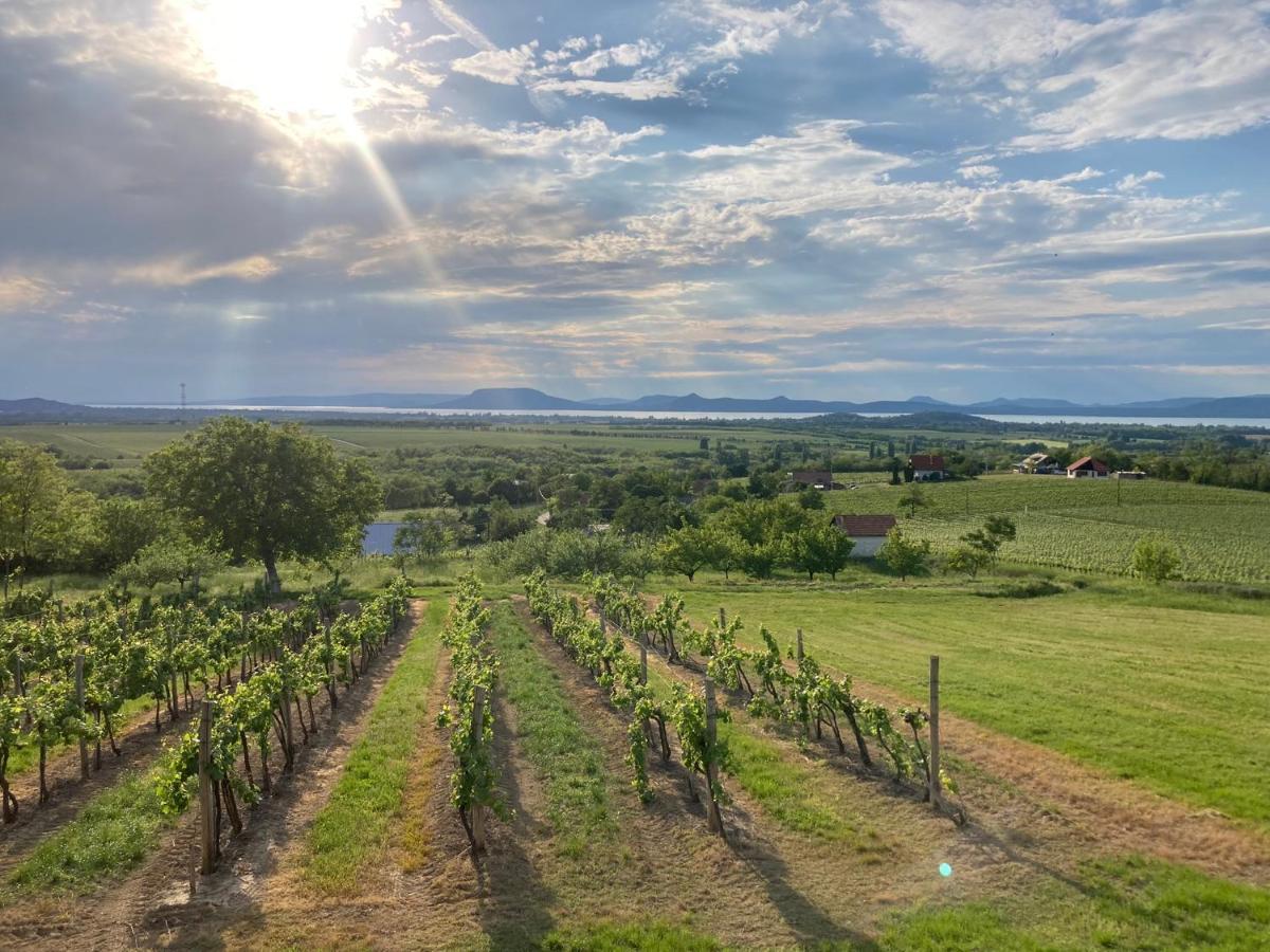 Wine & Space Lodge At Lake Balaton บาลาตอนแลลเล ภายนอก รูปภาพ